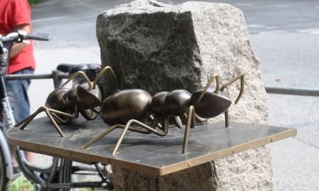 Ringelnatz Ameisen