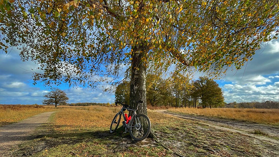 Herbst! Haaksberger Venn (NL)