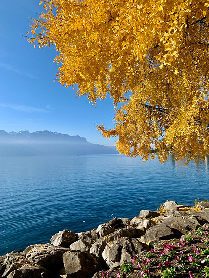 Genfer See im November