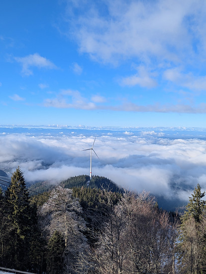 I 🤍 Winter Cycling 🚵 01/2025 Schauinsland (-4°)
Und mit weiter Voraussicht wieder runter! Nicht ungefährlich in manchen Ecken