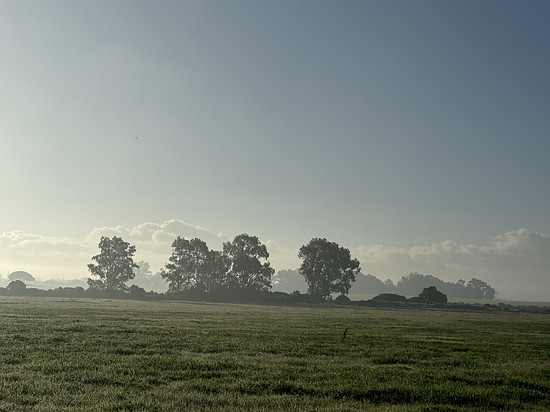 Winterpokal-Aktivität