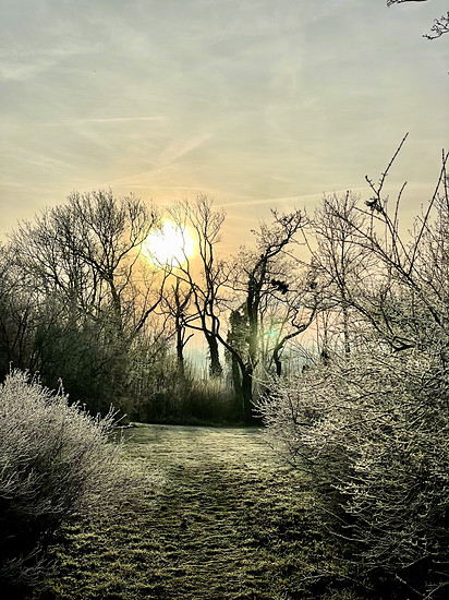 Durch den Heine Park zur Arbeit …