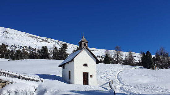 Zur Dürrensteinhütte (hike/run)
