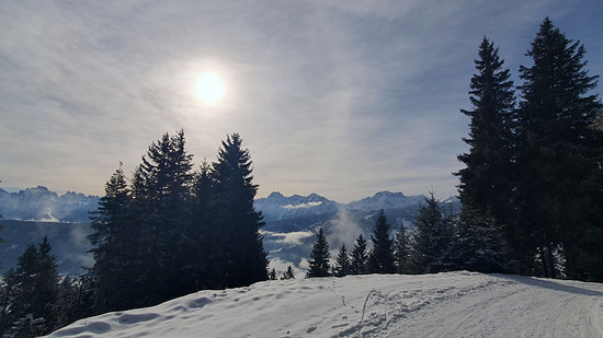 Zur Taistner Vorderalm