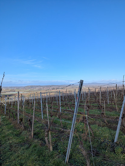 LRS getauscht, Kette getauscht, System nachjustiert: harmoniert deutlich besser
Testfahrt mit Batzenberg Loops ☺️