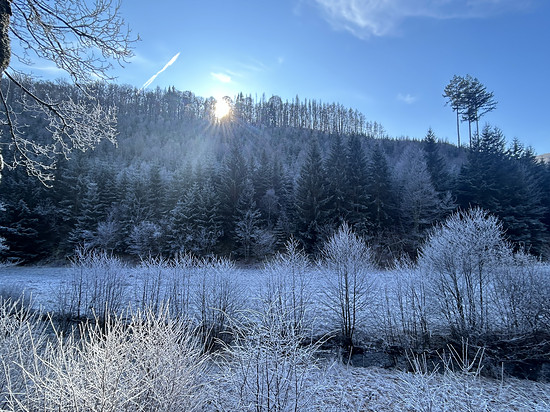 Wiesenbach - Leimstruth