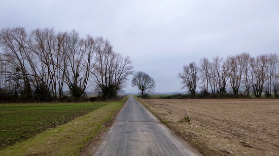 Winterpokal-Aktivität