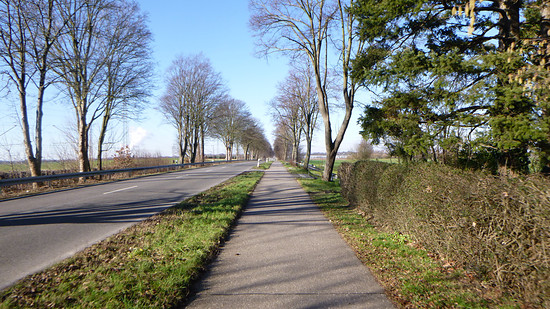 Winterpokal-Aktivität