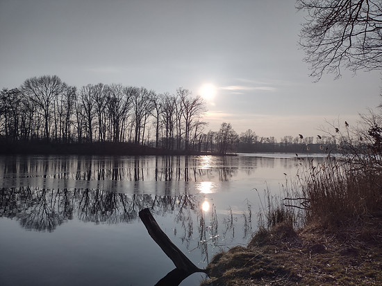 Winterpokal-Aktivität