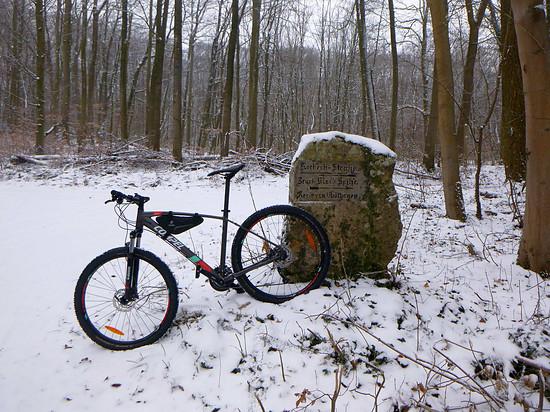 Winterpokal-Aktivität