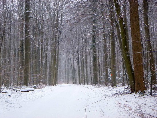 Winterpokal-Aktivität