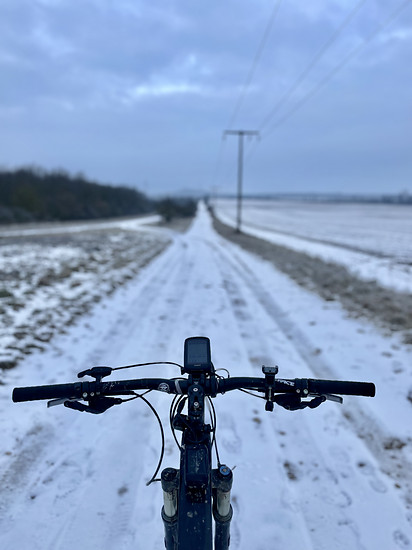 Peterchen Frost und die Winterlinge …