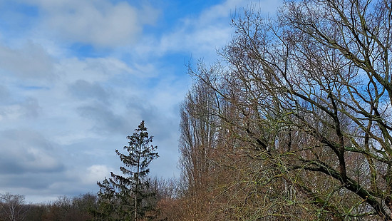 Winterpokal-Aktivität