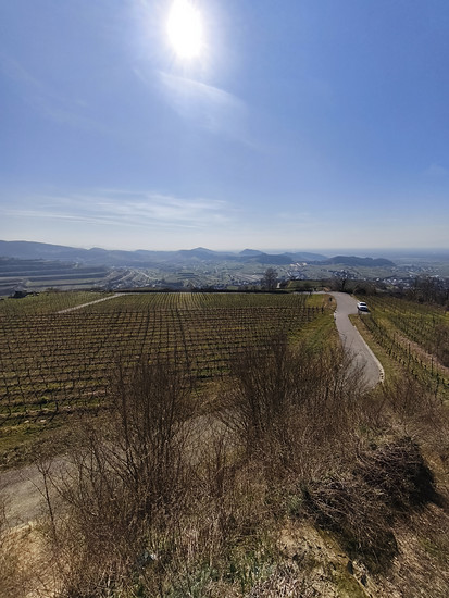 The Imperial Chair Classics Loop 🤩
Spring Time for short/short 😅
Tan Lines refresh 🤪