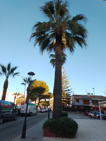 Spaziergang am Morgen