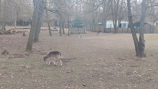 Winterpokal-Aktivität