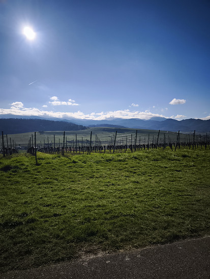 Black Forest Brevet Silver 🌞💨🌞💨🌞💨
Nur echt MIT Wackelkontakt 💯🔥🤪
Geier, Schaui 06/2025, Belchen, Blauen und die Böllen Ulle Gedächtnis Rampen 🤪
Ungeplant der Nase nach, weil Wetter- App🫣👀