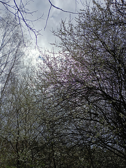 Winterpokal-Aktivität