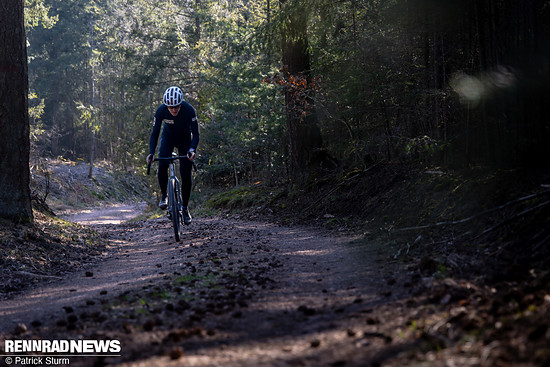 Mondraker Arid Alu 2025 PSturm-6