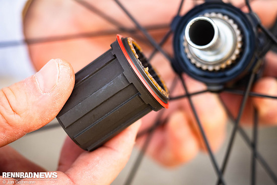 Der Freilaufkörper lässt sich ohne Werkzeug tauschen.