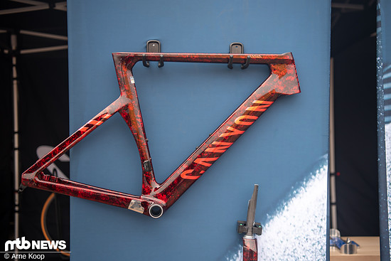 Sea Otter Classic Tag1-85