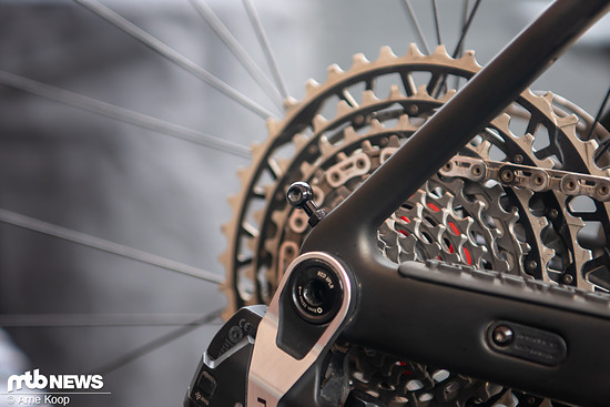 Sea Otter Classic Tag1-110