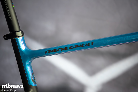 Sea Otter Classic Tag1-27