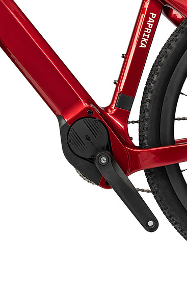 Das Herzstück des Paprika 53 – der DJI Avinox Motor.