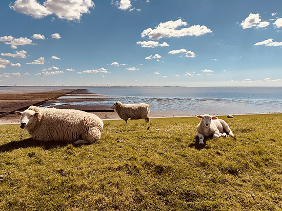 Blick Richtung Büsum