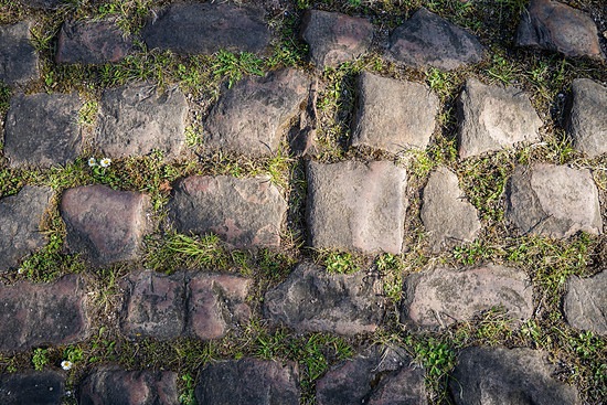 20250411163501 ParisRoubaix Soloist DSC09095