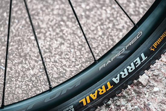 2026 Rapid Red AL action 01