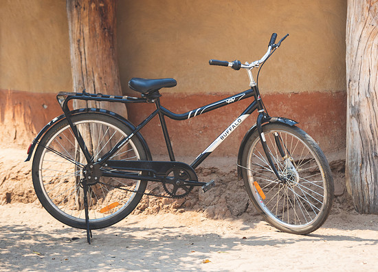 Buffalo Bike