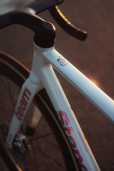 standert kreissaege evo  poster ca com DSC08133