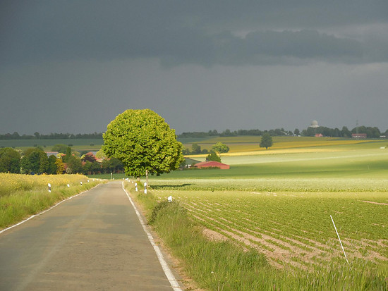 Radfahren kann so schön sein