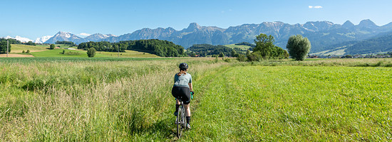 Verfahren im Gürbetal