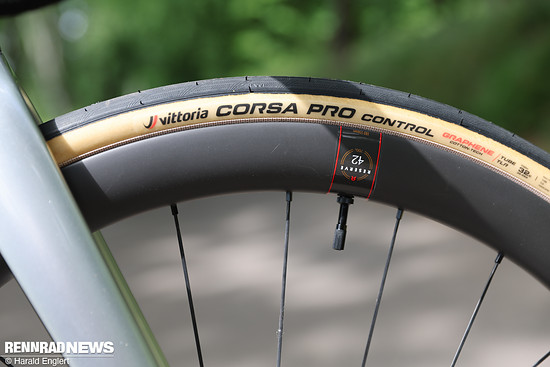 Genau wie die geschmeidig rollenden Vittoria Corsa Pro Control.