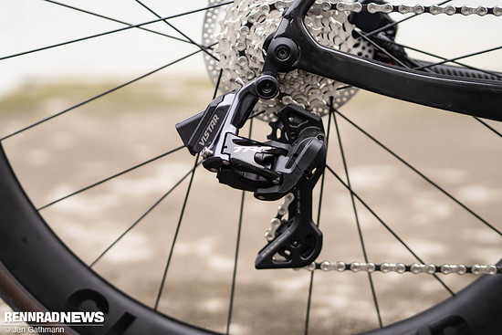 Schlanke Erscheinung.