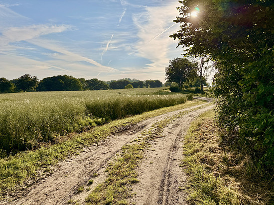 Zwischen Feldern