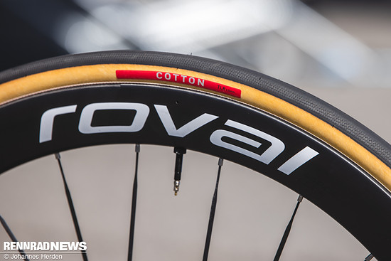 Red Bull Bora Hans Grohe-34