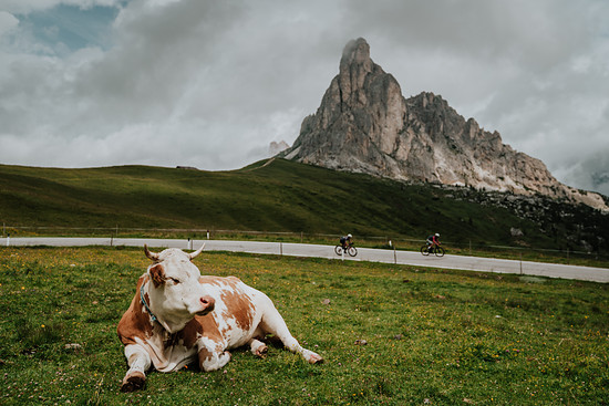 Definiere episch? Schroffe Dolomitengipfel, safte Wiesen, für Rennradfahrer gesperrte Straßen - und davor eine entspannte Kuh