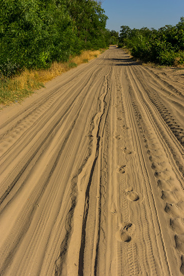 Sand, nichts als knöcheltiefer Sand  2