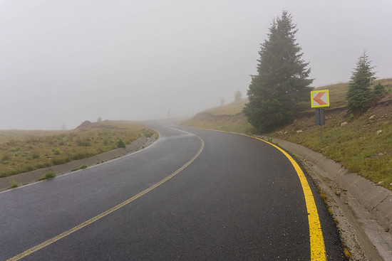 Transalpina SüdAuffahrt Baumgrenze