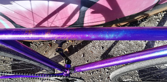 68ab5570-fd47-428a-b79e-bf031bef3848-1 all 10601