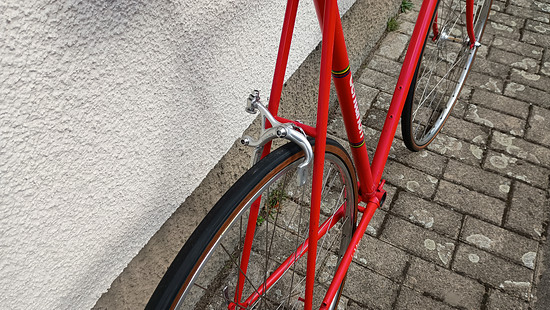 IMG 20250923 131116982