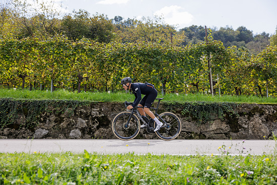 FilanteID2 Media 2731