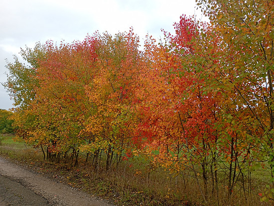Winterpokal-Aktivität