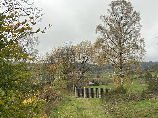 Spaziergang am Mittag