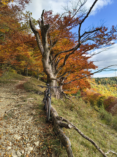 Winterpokal-Aktivität