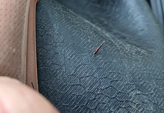 Winterpokal-Aktivität