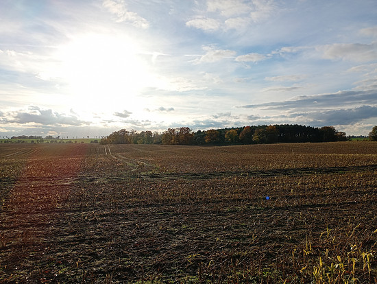 Winterpokal-Aktivität